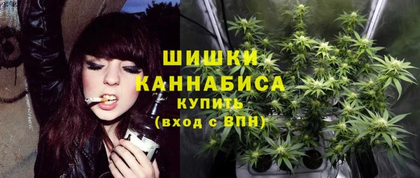 ешки Арсеньев
