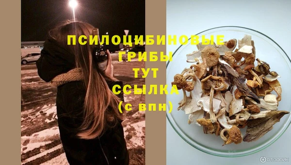 ешки Арсеньев