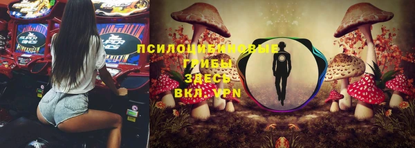 таблы Аркадак
