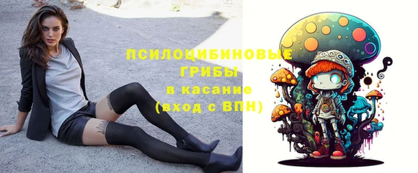 ешки Арсеньев
