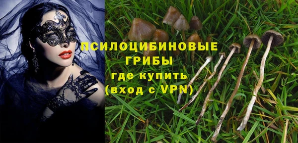 ешки Арсеньев