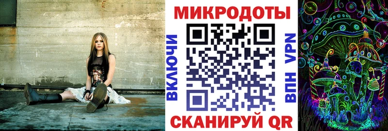 Псилоцибиновые грибы Magic Shrooms  OMG зеркало  Курганинск 