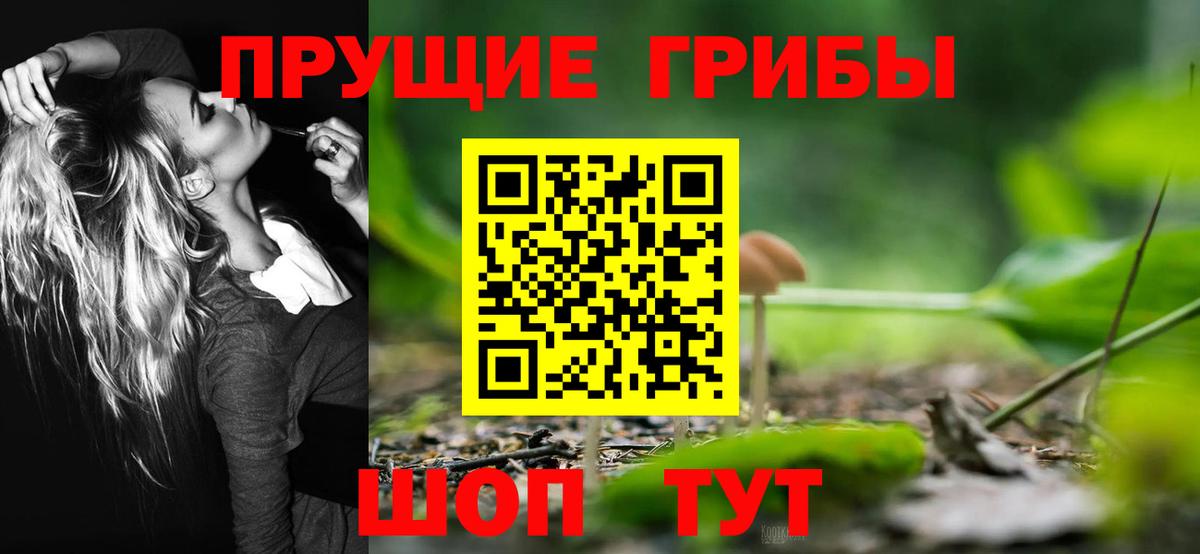 Псилоцибиновые грибы ЛСД Курганинск