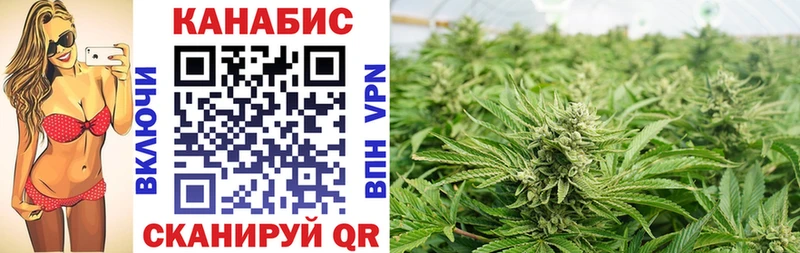 наркотики  Курганинск  Шишки марихуана тримм 